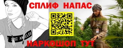 спиды Заводоуковск