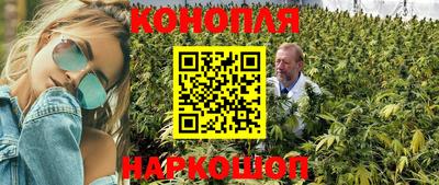 спиды Заводоуковск
