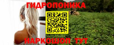 спиды Заводоуковск