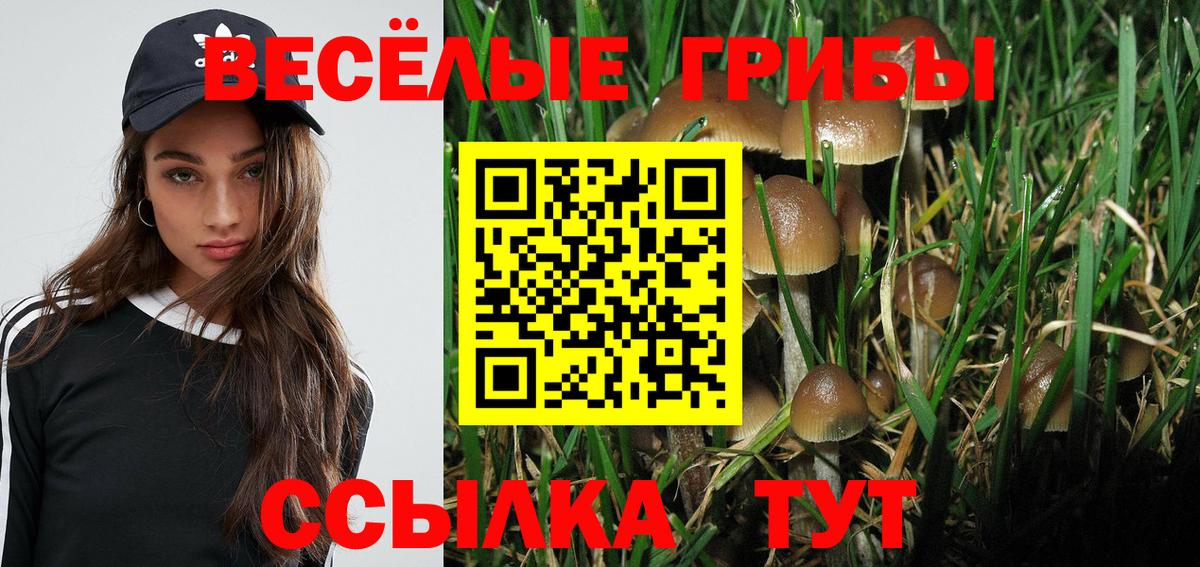 Галлюциногенные грибы GOLDEN TEACHER Буйнакск